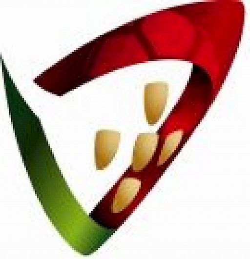 Federação de Andebol de Portugal