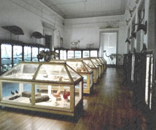 Fig. 6 - Galeria de História Natural, Sala das Viagens.