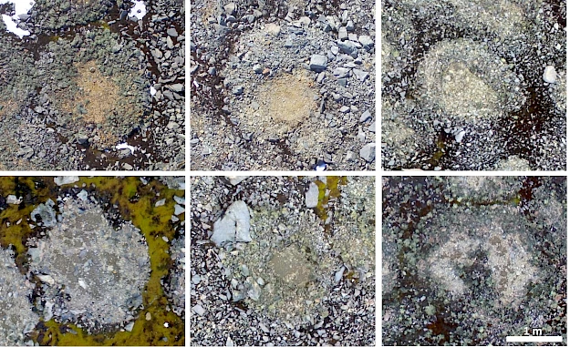 Círculos de pedras - exemplos Antartida
