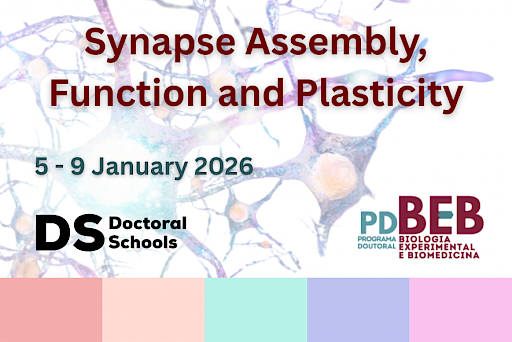 Synapse Assembly, Function and Plasticity