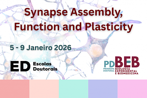 Synapse Assembly, Function and Plasticity